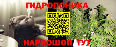 трава Шебекино